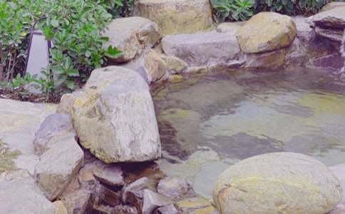 ���P��Ȫ����500����ƪ