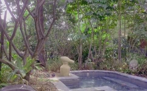 泡溫泉的作文400字