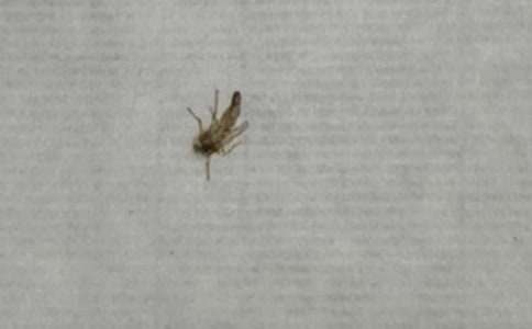 ������׃�����������ģ����x21ƪ��