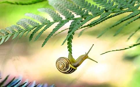 �Ұl�F��΁ţ���������ķ���