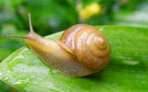 ΁ţ�c����ă������ģ�ͨ��27ƪ��