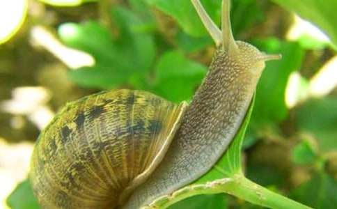 �^��΁ţ�����ļ���10ƪ