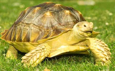 �Ҽҵ�С��������700��