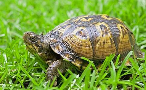 �Ҽҵ�С���`����С�W����