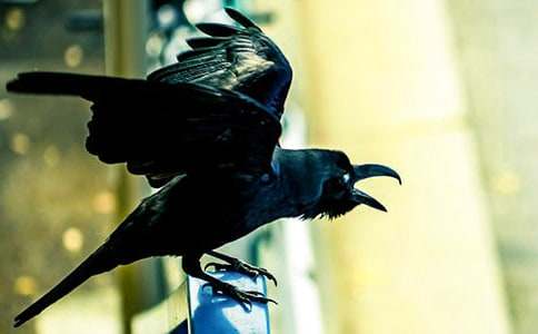 ���f��ˮ�M�}����500��