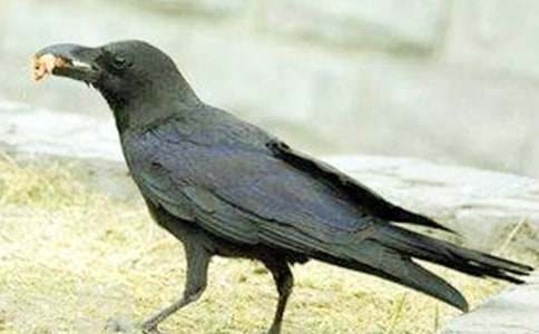 ���f��ˮ����