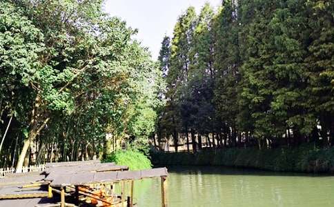 ˮ�l��悳�������