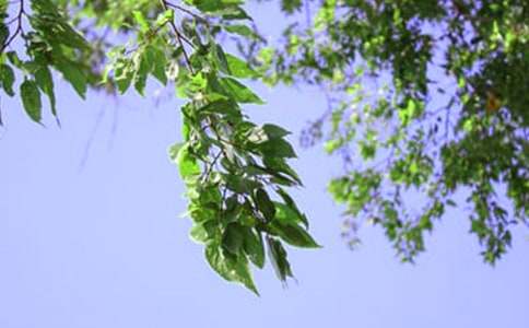 �簲���Z����36��