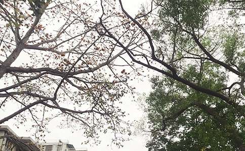 �P�ڄ�־�簲�Z䛅R����ͨ��90�䣩