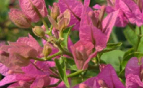 ���]���������簲�Z䛼���