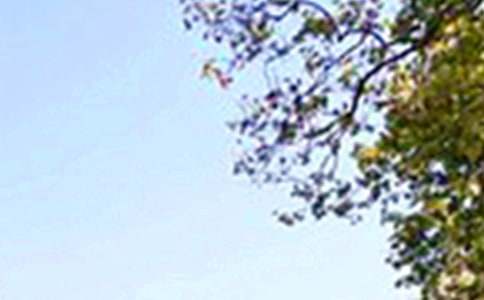 Ψ�����簲΢�ņ����Z72�l