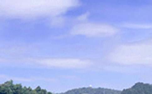 �P�ڂ����簲������ȫ80��