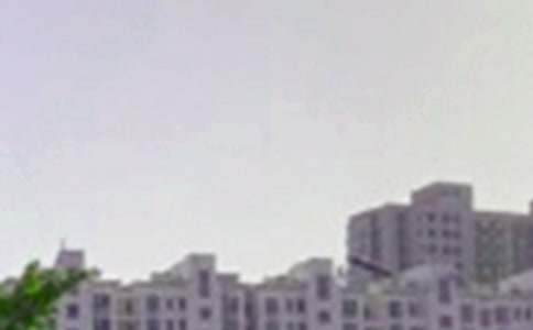 �������簲���ZQQ�R��40��