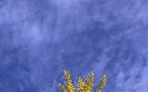 2024������ϵ�簲�����Z���Ŵ󼯺�71��