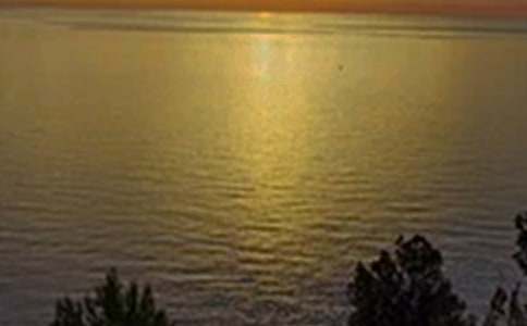 �P��ů���簲ף���Z��ȫ��ͨ��50�䣩