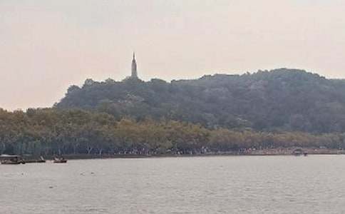 �������L������