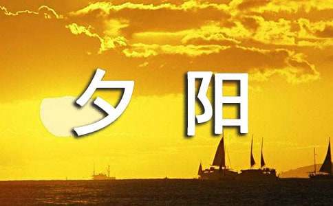 描寫夕陽的作文800字(精選6篇)