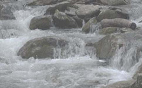 СϪ���ĸ�����