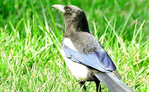 ϲ�o����700��