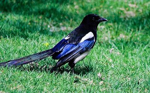 ϲ�oͯԒ����9ƪ