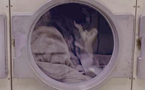 ���Ҏ͋���ϴ�·����}������