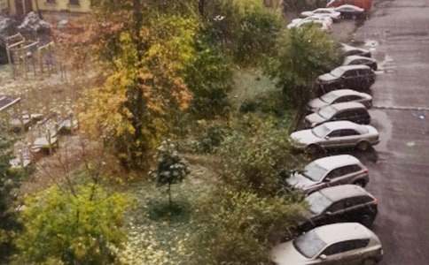 С�W��������ѩ