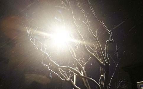 ��ѩ�����ġ����x��