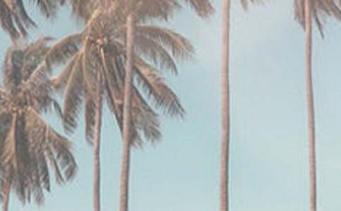 ���^�ļ�����800��