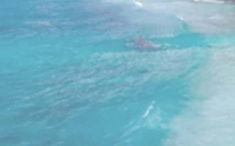 �����յ��L����