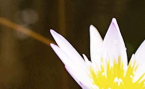 ���������V�Z��P�c