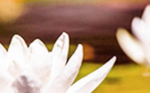 �ҕ��������δ����������׷���ߡ��ĸ��~