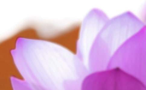 ������������V�Z2017