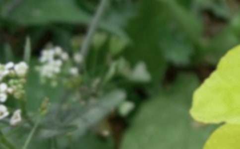 ��������С������I��̰���ͨ��13ƪ��