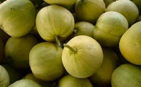 香瓜子大戰的作文400字