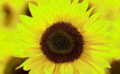 �����տ�������400�֣����x88ƪ��