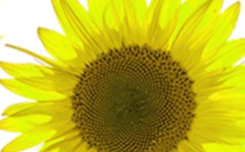 �^�����տ������ģ����x25ƪ��