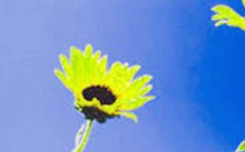 ���տ��Ļ��Z