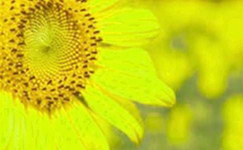 ���տ��^����ӛ����