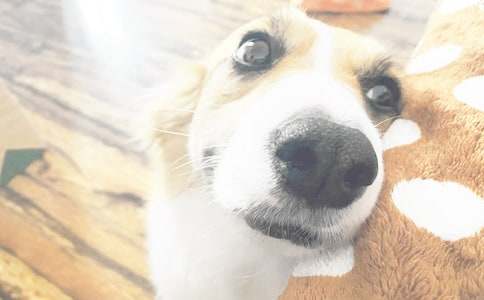 �^��С����ӛ���ģ����x10ƪ��