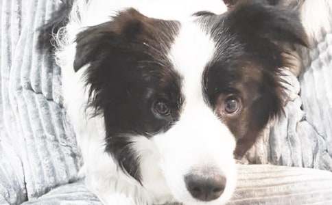 �^��С����ӛ���ģ�ͨ��18ƪ��