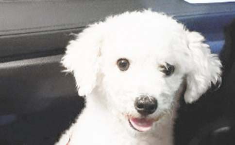 �^��С����ӛ�����x29ƪ��