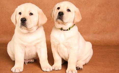 �^��С������ӛ���ļ��\��ƪ