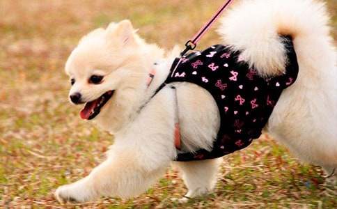 С�������^����ӛ�����x34ƪ��