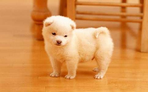 С�����^����ӛ400�����꼉�����x31ƪ��