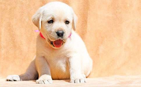 �^��С����ӛ�����x49ƪ��