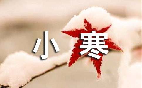 美麗的梅花_關于小寒看梅花的作文500字
