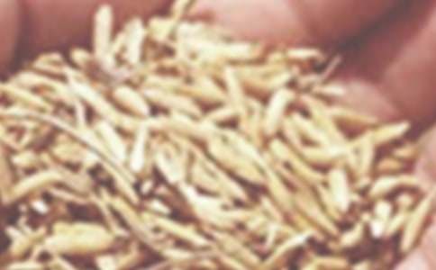 С������600����ƪ