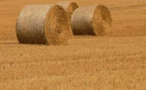 С�����L�^����ӛ