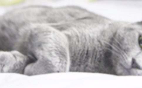 �茑С؈������