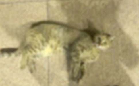 С؈��ˮ���ģ����x7ƪ��